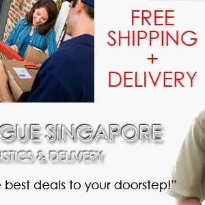 door to door delivery in Singapore